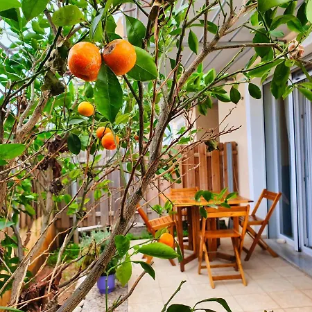 Apartment Casa Di Angelo *